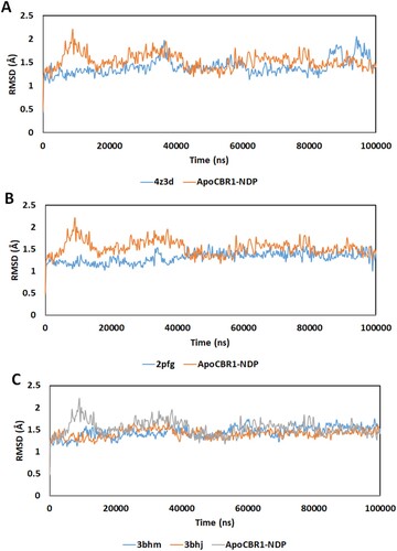 Figure 3. RMSD of the α-carbon atom in the CBR1 structures during 100 ns of MD simulation. (A) Apo-NADP: CBR1 bound with NADP. 4Z3D: CBR1 bound with GSH in closed form and NADP. (B) 2PFG: CBR1 bound with BiGF2 and NADP. (C) 3BHJ: CBR1 bound with GSH, OH-PP and NADP. 3BHM: CBR1 bound with S-hydroxymethylglutathione and NADP.