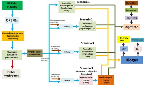 Figure 6. Proposed scenario for the sustainable AD of OPEFBs with integrated multi-product biorefinery concept in Indonesia.