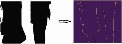 Figure 2. Transformation of vector image to pixel image.