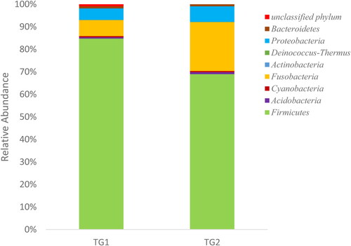 Figure 3. Bacterial phyla represented among the species identified at each of the sites TG1 and TG2.