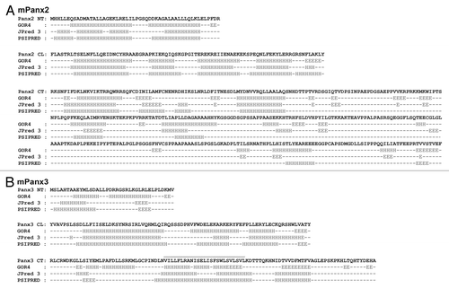 Figure 8. Secondary structure prediction of the mPanx2 and mPanx3 cytoplasmic domains. Display of the predicted secondary structure of (A) mPanx1 and (B) mPanx2 NT, CL, and CT domains obtained by utilizing three different prediction algorithms: GOR4, Jpred, and PSIPRED. Prediction per residue is labeled under the sequence as follow: H, α-helix; E, β-strand; black dash, random coil. The mPanx3 segment expected to interact with the membrane is indicated with a wavy black line.