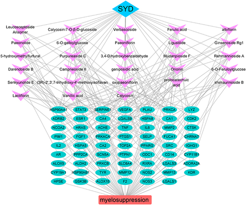 Figure 2 The Chinese medicine-compound-target-disease network.