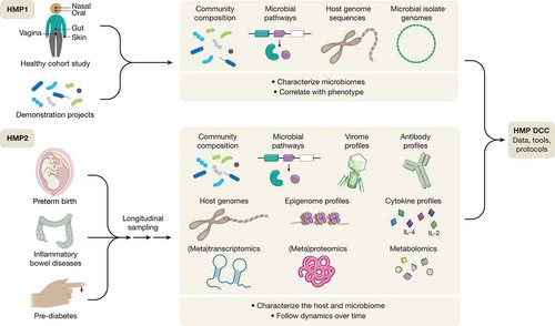 Figure 1. The NIH Human Microbiome Project-1 (HMP1) focused on the characterization of microbial communities from numerous body sites (oral, nasal, vaginal, gut, and skin) in a baseline study of healthy adult subjects. The 2nd phase HMP2 expanded the initial findings to three longitudinal cohort studies of representative microbiome-associated conditions: pregnancy and preterm birth (vaginal microbiomes of pregnant women), inflammatory bowel diseases (gut microbiome) and prediabetes (gut and nasal microbiomes) [Citation6]. Reprinted from Nature 2019 under Creative commons open access license [Citation6].