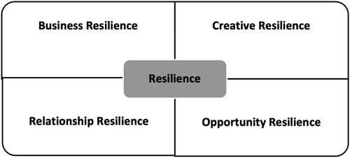 Figure 2. Resilience strategies identified by the authors.