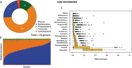 Figure 1. Summary of core gut microbiota in Mexican children. (a) Total number of core genera in each phylum (defined as present in >95% of samples children). (b) Abundance of core phyla across samples. (c) Median relative abundance of the 17 top core genera.