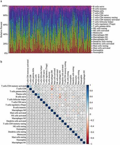 Figure 5. Immune infiltration signature analysis of PAAD with different CDC25C expressions.