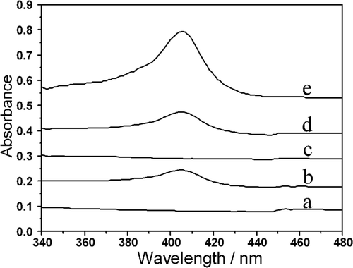 Figure 2. UV–vis absorption spectra of L-MWCNTs/Chi (a), Hb/L-MWCNTs/Chi (b), S-MWCNTs/Chi (c), Hb/S-MWCNTs/Chi (d) and Hb (e) film on ITO glass.