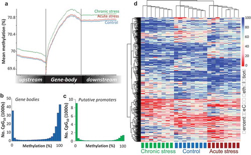Figure 2. Visualisation of the Atlantic salmon gill methylome. (a) Average CpG methylation percentage in gene bodies and within the 1.5 Kb upstream and downstream of the transcription start (TSS) and termination sites (TTS) for each stress group. (b-c) Histograms of average methylation distribution within gene bodies and putative promoter regions. (d) Heat map illustrating percentage methylation for all differentially methylated CpGs identified in response to acute and/or chronic stress (logistic regression q < 0.01 and |ΔM|>20%, and t.test p < 0.01) in all individuals at the baseline time-point, using unsupervised hierarchical clustering.