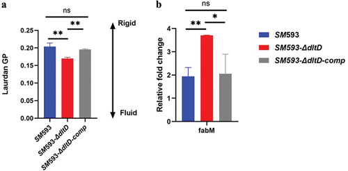 Figure 9. (a) Laurdan staining followed by the calculation of GP to represent cell membrane fluidity. (b) RT-qPCR analysis showed the gene related to cell membrane fluidity. The data calculated from the three samples per group are expressed as the mean ± SE * p < 0.05,** p < 0.01.