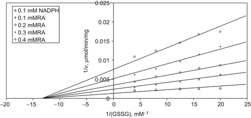 Figure 4.  Inhibition kinetics of bovine liver glutathione reductase (GR). Inhibition kinetics of Lineweaver–Burk double reciprocal plot of initial velocity against oxidized glutathione (GSSG) as varied substrate and rosmarinic acid (RA) (0.1–0.4 mM) as inhibitor at different fixed NADPH (0.1 mM) concentrations.