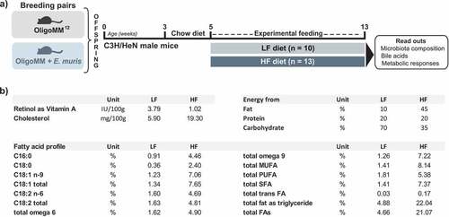 Figure 6. Experimental design and differential diet features. a) C3H/NeH male mice colonized from birth with the simplified community Oligo-MM12 with or without E. muris were fed two different diets from the age of 5 weeks on: (i) a control diet with low fat content (LF; 10% kcal from fat provided as lard; n = 10); (ii) a high-fat diet (HF; 45% kcal from fat; n = 13). The diets were fed ad libitum for a duration of 8 weeks. b) Major differences between the diets. All details are given in the methods section and in the Supplemental material. Abbreviations: MUFA, monounsaturated fatty acids; PUFA, polyunsaturated fatty acids; SFA, saturated fatty acids; FA, fatty acids