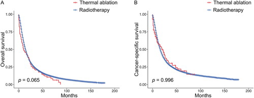 Figure 1. Kaplan–Meier survival curves for OS (A) and CSS (B) in inoperable patients with stage III NSCLC. OS: overall survival; CSS: cancer-specific survival; NSCLC: non-small cell lung cancer.