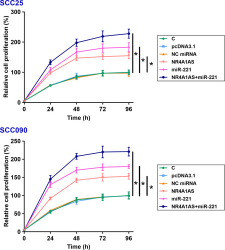 Figure 4 Overexpression of NR4A1AS or/and miR-221 promote the proliferation of OSCC cells. The effects of overexpression of NR4A1AS or/and miR-221 on the proliferation of SCC25 and SCC090 cells were determined by CCK-8 assay. Overexpression of NR4A1AS could significantly increase the proliferation rate of OSCC cells. MiR-221 also had the same effect on the proliferation of OSCC cells, and there was no difference observed between C and NC groups. All experiments were repeated 3 times and mean values were presented and compared. *p < 0.05.