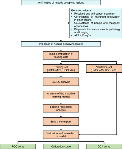 Figure 1 Flow chart of the study process.