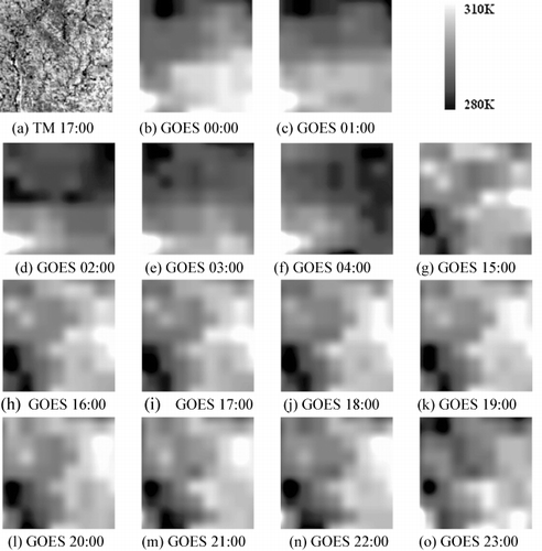 Figure 10. The actual Landsat LST and GOES LST. (a) is the Landsat LST observed on 18 June 2010, and (b)–(o) are the GOES LSTs observed between 00:00 and 04:00 UTC time and 15:00 to 23:00 UTC time on 18 June 2010, respectively.