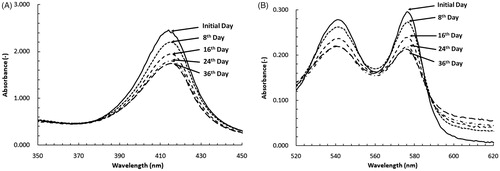 Figure 6. Spectrophotometric spectrums of bovine hemoglobin with presence of 5.68 mmol/L Vc concentrations during the reaction process. (A) The Soret band region curves. (B) Q band region curves.