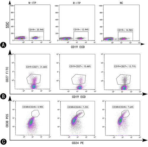 Figure 1. Representative flow cytometry plots showing CD19+ B cells, Bmems and Bregs in pediatric ITP patients and normal controls. (A) Representative dot plots showing blood CD19+ B cells in newly diagnosed patients, patients in remission and normal controls. (B) Blood memory B cells (CD19+CD27+) in ITP patients and normal controls. (C) Blood Bregs (CD19+CD24hiCD38hi) in ITP patients and normal controls. N-ITP: newly diagnosed patients; R-ITP: patients in remission; NC: normal controls.