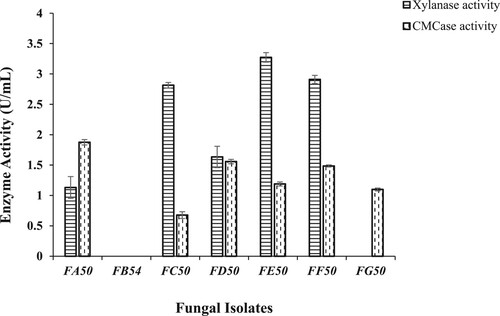 Figure 1. Xylanase and CMCase production of fungi isolates grown on xylan substrate.