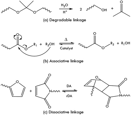 Figure 4. Examples of molecular mechanisms describing the main concepts of recyclable thermosets; a degradable acetal linkage (a), an associative transesterification reaction, (b) and a dissociative Diels-Alder reaction (c).