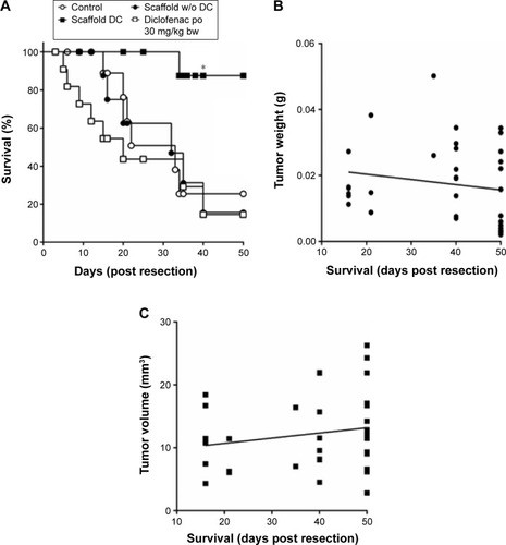 Figure 3 Effect of local release of diclofenac on survival rate.Notes: (A) Mice implanted with diclofenac-releasing scaffolds had 89% survival 7 weeks following resection. At this time point, mice containing scaffolds without diclofenac had a 10% survival rate. Untreated mice showed a survival rate of 25%. Mice receiving diclofenac orally also exhibited a 10% survival rate with the diclofenac being removed from the water 10 days after surgery due to severe side effects. (B) The weight and (C) volume of the primary tumor do not correlate with survival time (for both, Pearson’s chi-squared test, nonlinear correlation coefficient R2=0.03, P=0.3). *P<0.05.Abbreviation: DC, diclofenac.