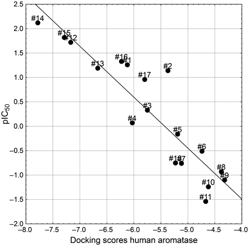 Figure 6. Correlation between the docking scores of 18 azoles on the human aromatase and the corresponding human recombinant CYP19 inhibitory activity values (Table 2).
