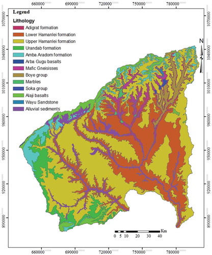 Figure 3. Lithology map of the study area