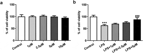 Figure 1. The effect of carvedilol on cell viability of LPS-induced BEAS2B cells. (a) The cell viability of BEAS2B cells treated with carvedilol. (b) The cell viability of LPS-induced BEAS2B cells treated with carvedilol. ***P < 0.001 Versus Control, ###P < 0.001 Versus LPS.