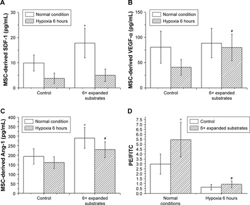 Figure 6 Secretion of growth factors by MSCs and cell viability analysis.Notes: (A–C) SDF-1, VEGF-α, and Ang-1 derived from MSCs grown on the substrates of 6× expanded inverse opal (substrates) or unexpanded substrates (control group) were analyzed by ELISA kits. (D) Mitochondrial membrane potential of MSCs (calculated by PE/FITC) on the 6× expanded substrates and the control group under normal and hypoxia conditions. (E) Representative test results shown by FACSCalibur cytometer analysis. *P<0.05 vs the corresponding control group in normal conditions; #P<0.05 vs the corresponding control group in hypoxic conditions.Abbreviations: Ang-1, angiopoietin-1; FITC, fluorescein isothiocyanate; MSCs, mesenchymal stem cells; PE, phycoerythrin; SDF-1, stromal cell-derived factor 1; VEGF-α, vascular endothelium growth factor-α.