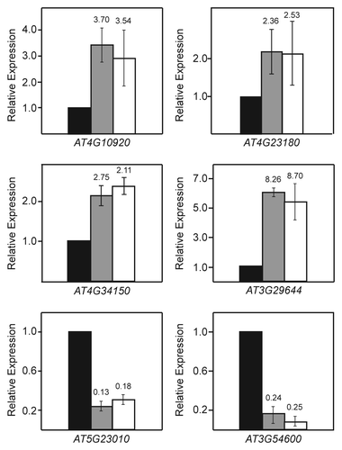 Figure 3. Validation of selected transcripts regulated by VIM proteins and MET1. RT-qPCR relative expression analysis of four upregulated targets and two downregulated targets from the set of transcripts co-regulated by VIM proteins and MET1 is shown. Similar fold changes in expression are seen in the vim1 vim2 vim3 mutant (gray bars) and met1 mutant (white bars) relative to wild type (black bars). Expression values represent the averages calculated from three independent biological replicates. Error bars represent the standard error of the mean. For comparison of RT-qPCR with the RNA-seq results, fold changes relative to wild type from the RNA-seq data set are indicated above each bar.