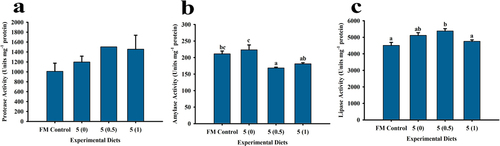 Figure 3. Digestive enzyme activities of P. monodon fed with low fish meal diets supplemented with squid by-product hydrolysate for 8 weeks. (a) protease, (b) α-amylase (c) lipase. Values are mean ± SEM. Different superscript letters indicate significant differences among treatments.