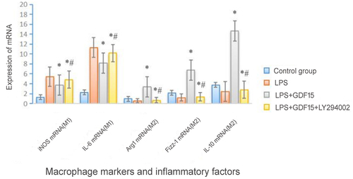 Figure 4. Expressions of macrophage markers and inflammatory factor mRNA.