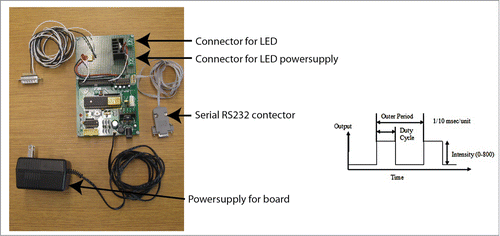 Figure 3. This device provides computer controlled pulse generation for high-power LEDs via simple serial commands. It operates as a high-speed switch generating square waves to modulate the light output. It turns the LED off when the camera is not exposing, limiting the total light load on the cells. The driver consists of three elements: the microcontroller with support electronics, an opto-isolated input for the camera signal, and a MOSFET transistor to switch the LED. The microcontroller is an ATMega16 device on a Futurlec development board. The optoisolator is a standard H11L1 isolator with support components. (The small indicator light is on when the camera is not exposing.) A 26 pin connector is wired to the optoisolator in the correct configuration for the camera outputs. The switch transistor is a BUZ80 n-type MOSFET with a maximum 3.4 A at 800 V. Schematic diagram available upon request. The LED pulse output is designed to generate square wave pulses that will excite fluorescent proteins. It generates a relatively low frequency square wave, called the “outer” pulse, and a 10 kHz PWM high-frequency pulse that is used to control the amplitude. The period and duty cycle of the outer pulse is highly variable. The units of the outer pulse is in 1/10 000 s/unit, and the PWM intensity varies between 0–800.