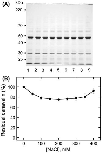 Fig. 2. Effects of high sodium chloride (NaCl) concentrations on canavalin solubility.