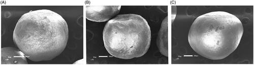 Figure 4. Scanning electron micrographs of pellets (A) pellet coated with HPMC (B) pellet coated with Eudragit L30D-55 (C) pellet coated with Eudragit FS30D.