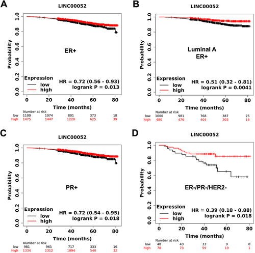 Figure 1. KmPlots survival graphs of breast cancer patients (80 months) with the presence or absence of ER, PR, and HER2 receptors in relation to LINC00052 expression. A) ER+ patient sample group (n = 1475); B) Luminal a ER+ patient sample group (n = 1480); C) PR+ patient sample group (n = 2315); D) TNBC patient sample group (ER-, PR-, HER2-) (n = 126). p < 0.05.