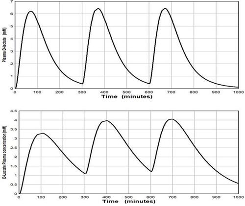 Figure 3 Plot of the PBPK model prediction of the plasma D-lactate concentration following 3 consecutive inputs of 500 millimoles of D-lactate with the time course described by Equationeq. 3(3) , each separated by 5 hours. It is assumed that the whole body clearance has the normal value of 607 mL/min. Top panel: input (see Equationeq. 3(3) ): TT = 30 and TA = 40 minutes. Bottom panel: input TT = 30 and TA = 120 minutes.