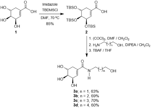 Scheme 1. Synthesis of monoamides 3a–d.