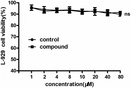 Figure 7. No cytotoxicity on L-929 cells after the compound treatment. The L-929 cells were seeded into the 96 well plates and treated with the compound with serial different concentration. The CCK-8 was used evaluate the cytotoxicity of the compound on the cells