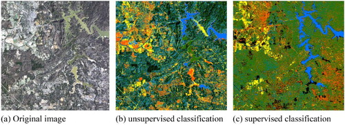 Figure 1. Image classification by unsupervised (ISODADA) and supervised (MLC) approaches. (a) Original image, (b) unsupervised classification, (c) supervised classification.