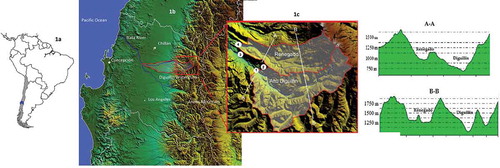 Figure 1. Location of the watersheds under study. Discharge stations: 1—Diguillín at San Lorenzo and 4—Renegado at Invernada. Precipitation stations: 2—Fundo Atacalco and 3—Diguillín.