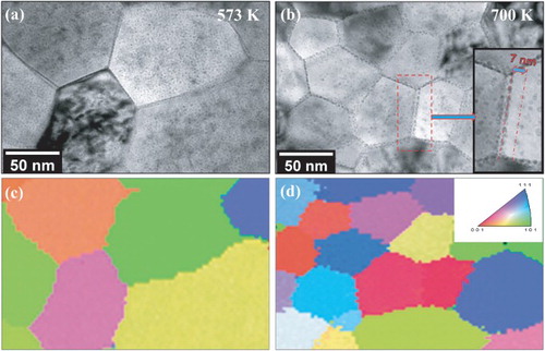 Figure 1. (a) and (b) Overfocused bright field TEM images of 10 keV helium irradiation on nanocrystalline iron at calibrated temperatures of 573 and 700 K, respectively. The inset figure in (b) demonstrates one denuded zone measurement (c) and (d) the corresponding [001] IPF maps.