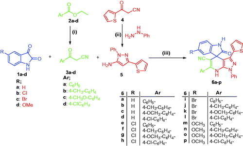 Scheme 1. Synthesis of target compounds 6a–p; Reagents and conditions: (i) CH3CN, DMF, NaH, benzene, reflux 4 h; (ii) Ethanol, phenylhydrazine, reflux 1 h; (iii) HOAc/H2O (1:1 v/v), heating at 120 °C, 8–11 h.