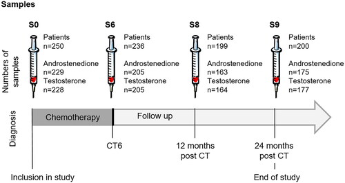 Figure 1. Schematic study design. Both testsosterone and androstenedione levels were assayed at diagnosis (sample 0), after chemotherapy completion (sample 6), after 1-year (sample 8) and 2-year (sample 9) follow-up post-chemotherapy. CT, chemotherapy.