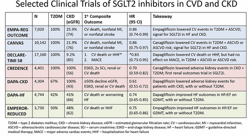 Figure 1 Selected clinical trials of SGLT2 inhibitors in CVD and CKD. *Significant for CV death or HHF but not for MACE. With permission from Jefferson Triozzi. Available from: https://www.grepmed.com/images/12169/ebm-table-inhibitors-cvd-visualabstract.