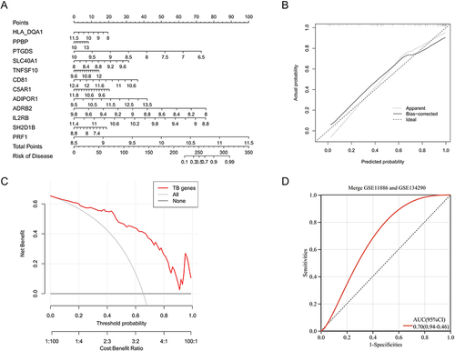 Figure 7 Optimization and evaluation of diagnostic models: (A) Construct a nomogram for the diagnosis of AS using 12 diagnostic biomarkers. (B) The calibration curve of the nomogram. (C) The decision analysis curve of the nomogram (“All”: Predictive analysis using all factors related to the disease; “TB genes”: Predictive analysis using 12 diagnostic biomarkers; “None”: Predictive analysis using only non-genetic factors). (D) Diagnosing model with external validation.