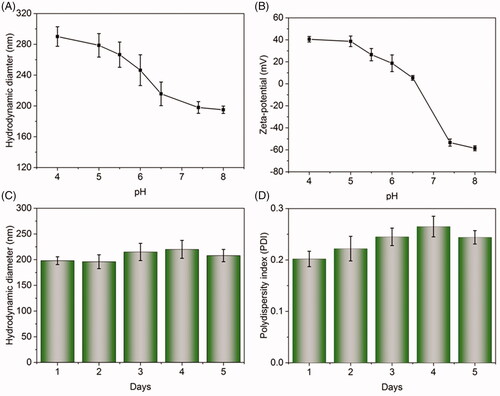 Figure 3. Evaluation of pH-responsive property and stability of Spe@NPs system. The hydrodynamic diameters (A) and zeta-potential (B) of Spe@HNPs at different conditions. Hydrodynamic diameters (C) and PDI (D) of Spe@HNPs after incubation in PBS (pH 7.4) with 20% FBS at 37 °C for 5 days. The data are shown as mean ± s.d. (n = 3 independent experiments).