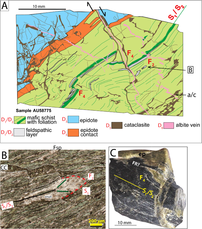 Figure 4 Finely foliated metabasite. A, Tracing of a whole thin-section scan. The sequence of structural features is indicated in red. An albite vein cross-cutting cataclasite is shown at a/c. Letter in rectangle locates the micro-photo. B, Micro-photo (plane-polarised light) showing the S1/S2 foliation and an F2 fold. Fsp: feldspar; CC: cataclasite. Green lines and ‘amph’ indicate fanning S2 amphiboles. C, Photograph of the specimen. ep: epidote; FR?: possible fault repetition of the thick epidote vein. The thin-section face is on the opposite side of the specimen.