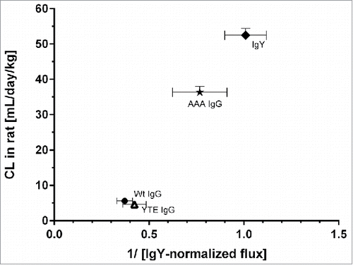 Figure 5. Mean systemic clearance observed in rat after single mAb intravenous administration plotted against the reciprocal normalized flux obtained from the rat FcRn cellular transcytosis assay. IgY-normalized in vitro flux of 5 mAbs were inversely proportional with the corresponding in vivo CL values in rat. Data is shown as mean ± SD.