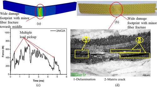 Figure 10. Correlation between numerical force-time response to damage morphology of 2A4C2A (a) Numerical post-impact image; (b) experimental post-impact image; (c) FEM force-time plot; (d) Microscopic image of damage (Zachariah et al., Citation2020).