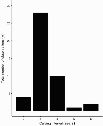 Figure 2. Distribution of calving intervals observed after 8 years (2006–2013) of data collection in Port Ross, Auckland Islands, New Zealand. Total sample size (n = 45).